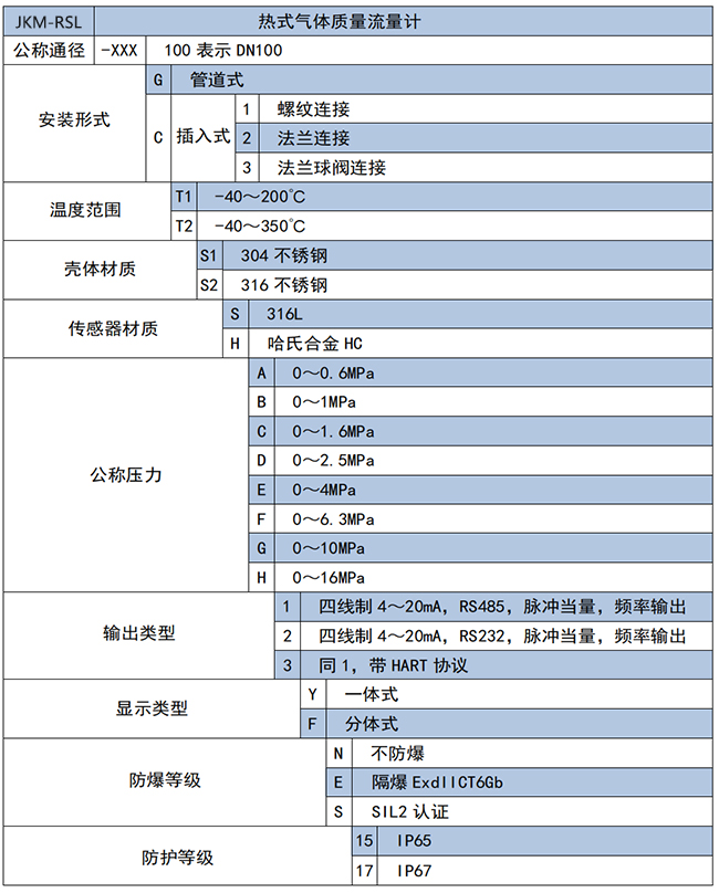 DN25熱式氣體質(zhì)量流量計選項表